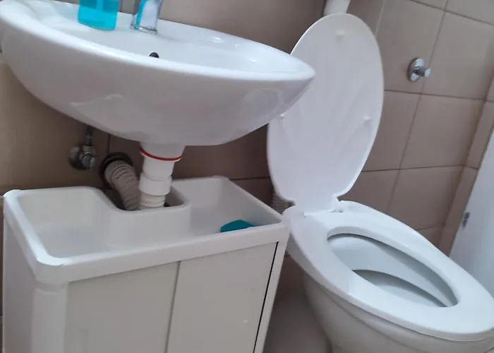 Banjica 2 索科矿泉村