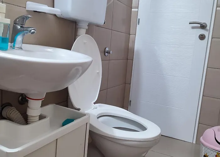 Banjica 2 * 索科矿泉村