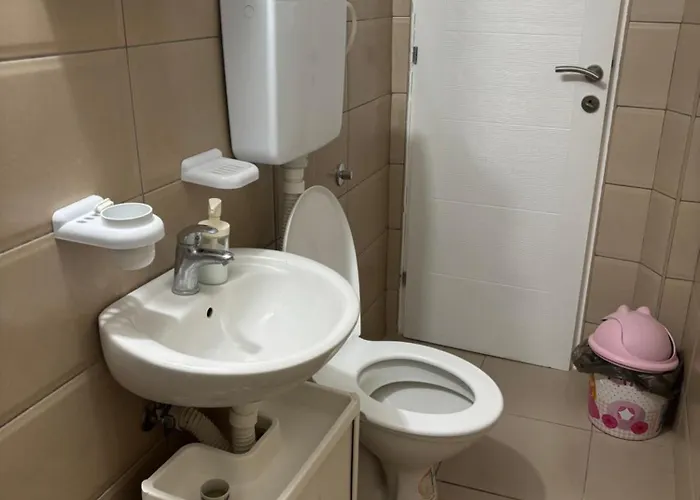 Banjica 2 公寓 索科矿泉村