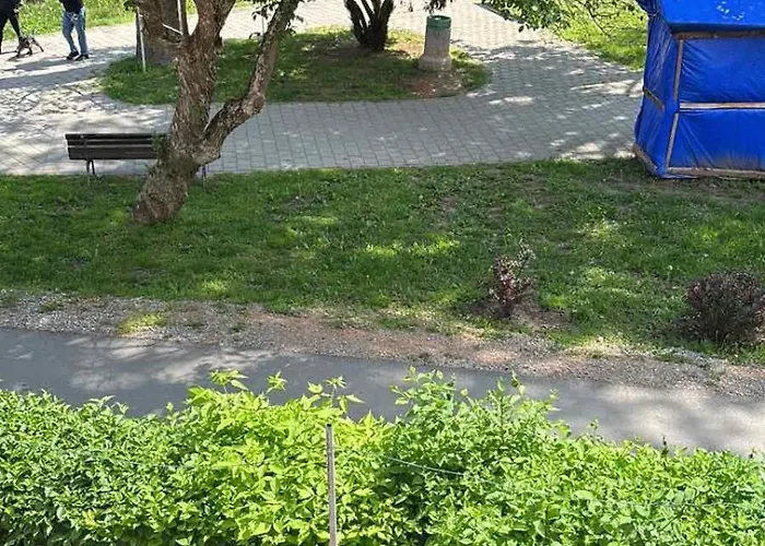 公寓 Banjica 2 索科矿泉村